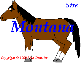 /user/MONTANA.jpeg