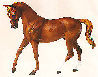 /user/breyer.jpg