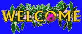 pleasure1.jpg (9762 bytes)