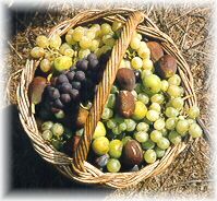 basket of goodies
