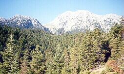 the view near the icon site