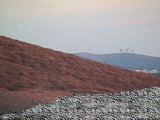 hill.gif
