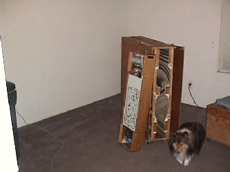 pic 2