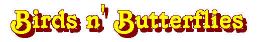 Birds n' Butterflies