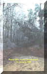 Beaty_Hills22-25Jan2000-c.jpg (195563 bytes)