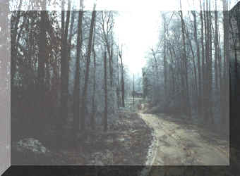Beaty_Hills22-25Jan2000-f.jpg (244400 bytes)