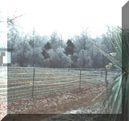 Beaty_Hills22-25Jan2000-g.jpg (193122 bytes)
