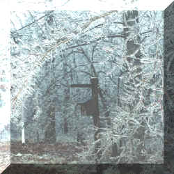 Beaty_Hills22-25Jan2000-h1.jpg (195597 bytes)