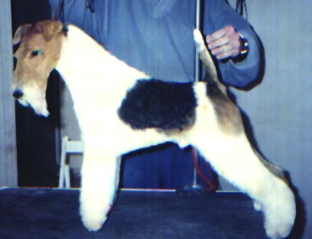 Killick