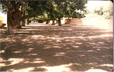 Al-labakh Street in Bara