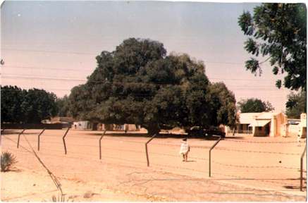 Bara police Station
