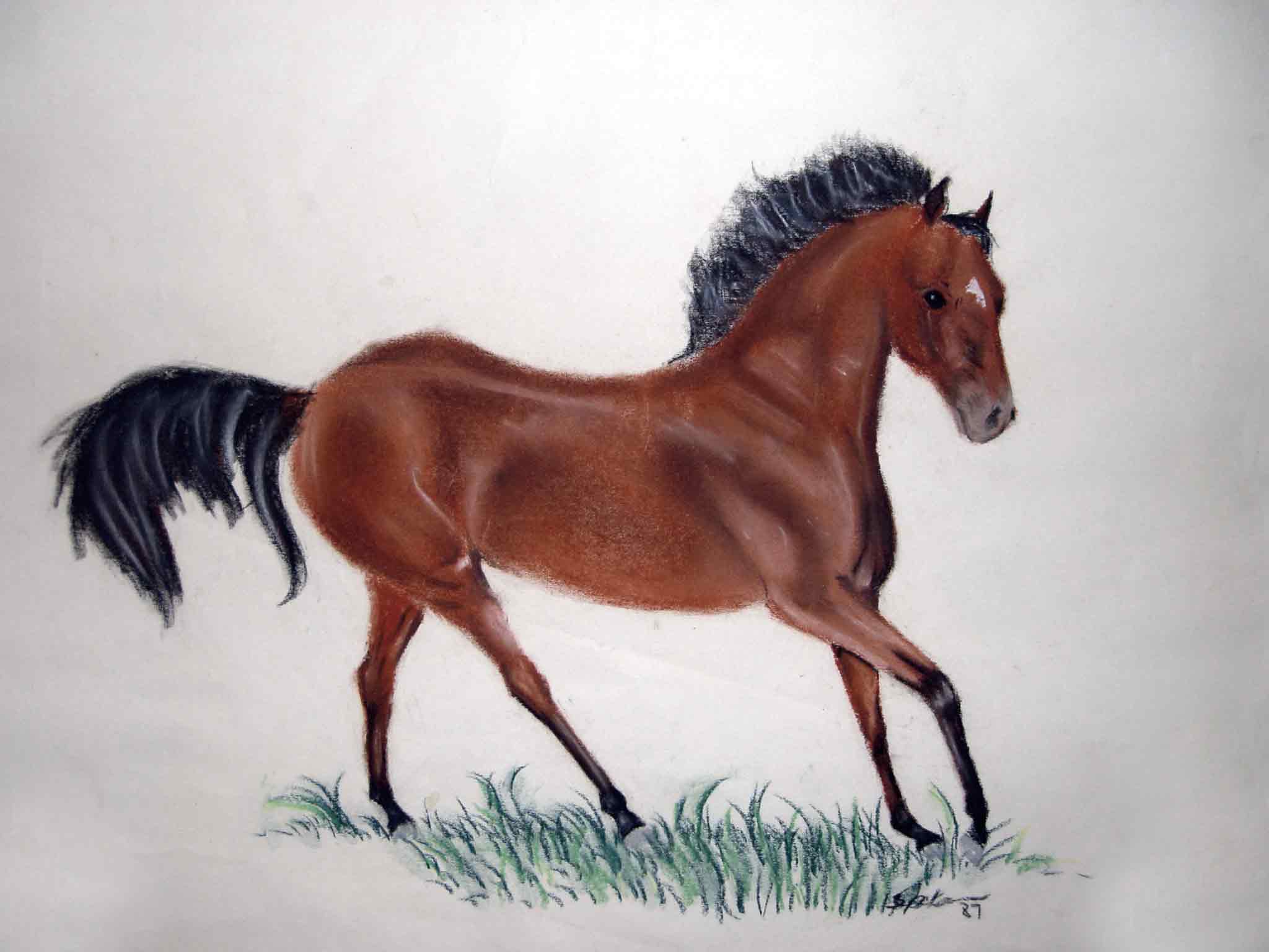 cowboydoll.jpg (73217 bytes)