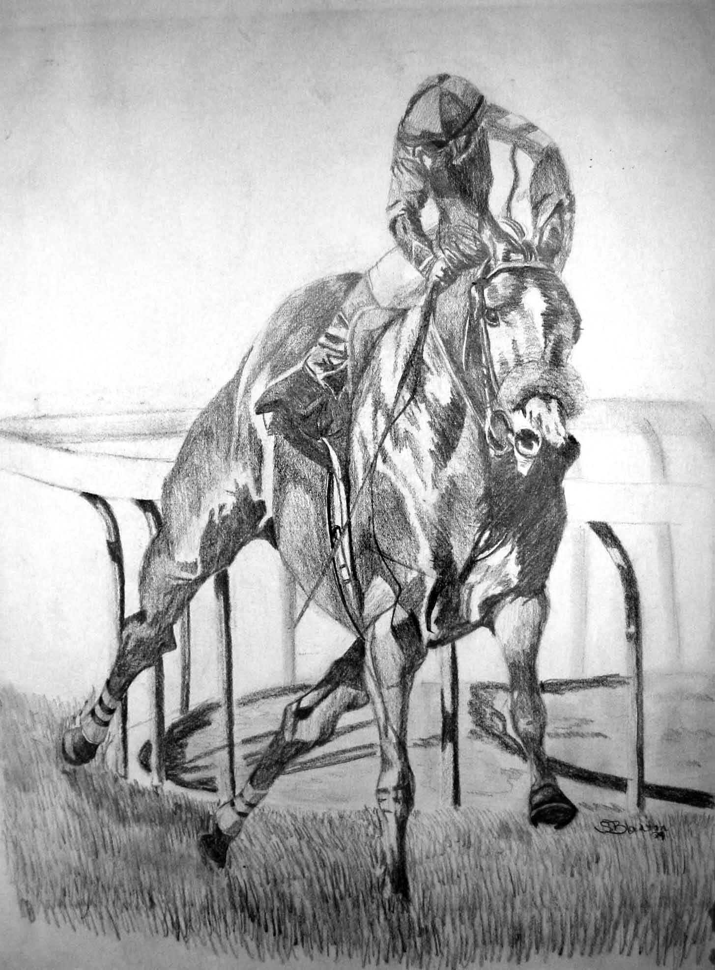 racehorse.jpg (186149 bytes)