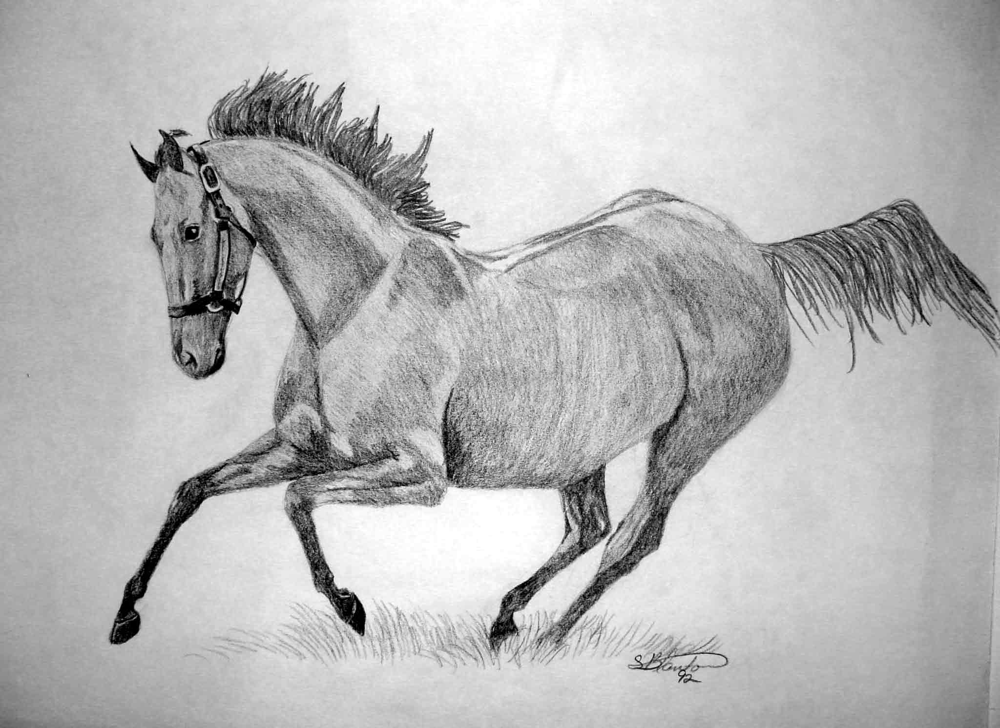 runningstallion.jpg (133603 bytes)