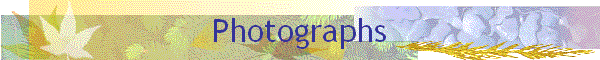 photographs.gif (16820 bytes)