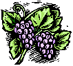 image051.gif