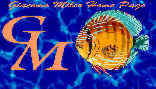 logo piccolo