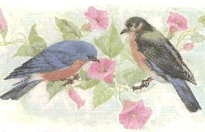 Picture of a family of bluebirds.