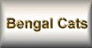 Bengal Cats Page