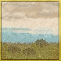 Buffalo in rain