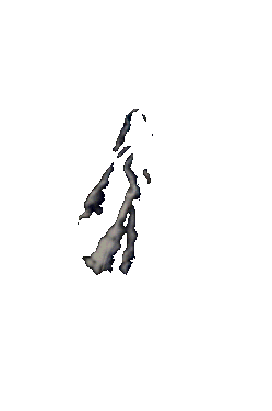 ghosts