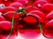 Christmas Wallpapers