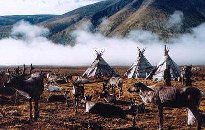 reindeer village