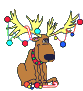 Reindeer!