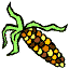 corn