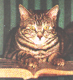 Secretary Treasurer Leo