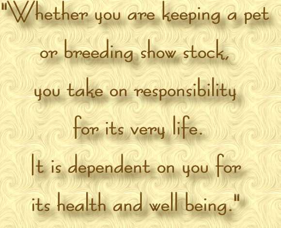 Dependent Quote.jpg (36506 bytes)