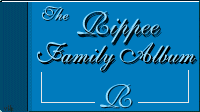 header
graphic