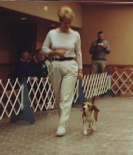Off-leash heeling in competition