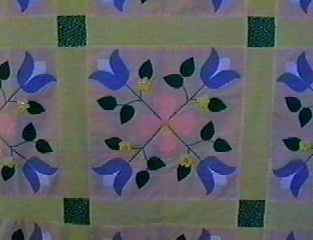 spflo2.jpg (62625 bytes)