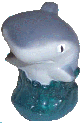 Grey Nurse Shark