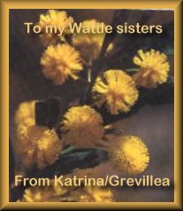 Katrina's Gift