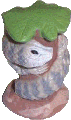 Spiny Tailed Skink