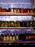 Canned Goods