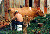 Milking