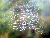Morning Web