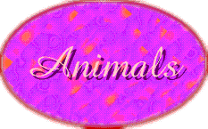 ANIMALS