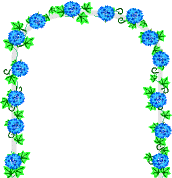 Arch with blue flowers climbing