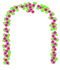 arch with pink flowers climbing