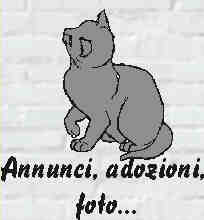 I vostri e i nostri annunci