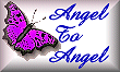 angel to angel