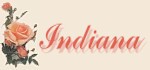 To Indiana where I am raising my family