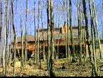 House Back