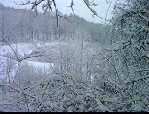 snow4