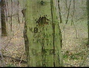 Haymaker Tree Carving