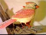 cardinal4